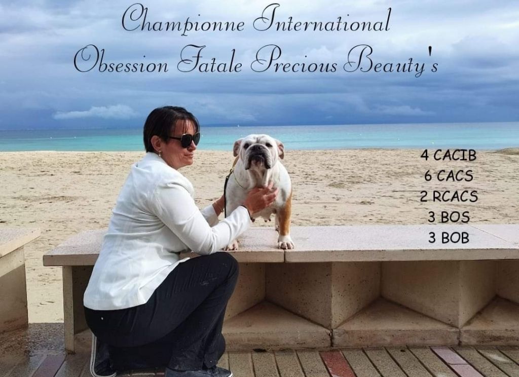 CH. Obsession fatale Precious Beauty's