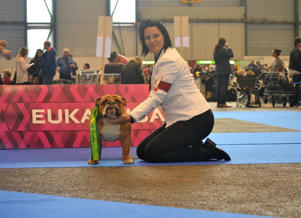 Precious Beauty's - Qualifié Crufts 2018
