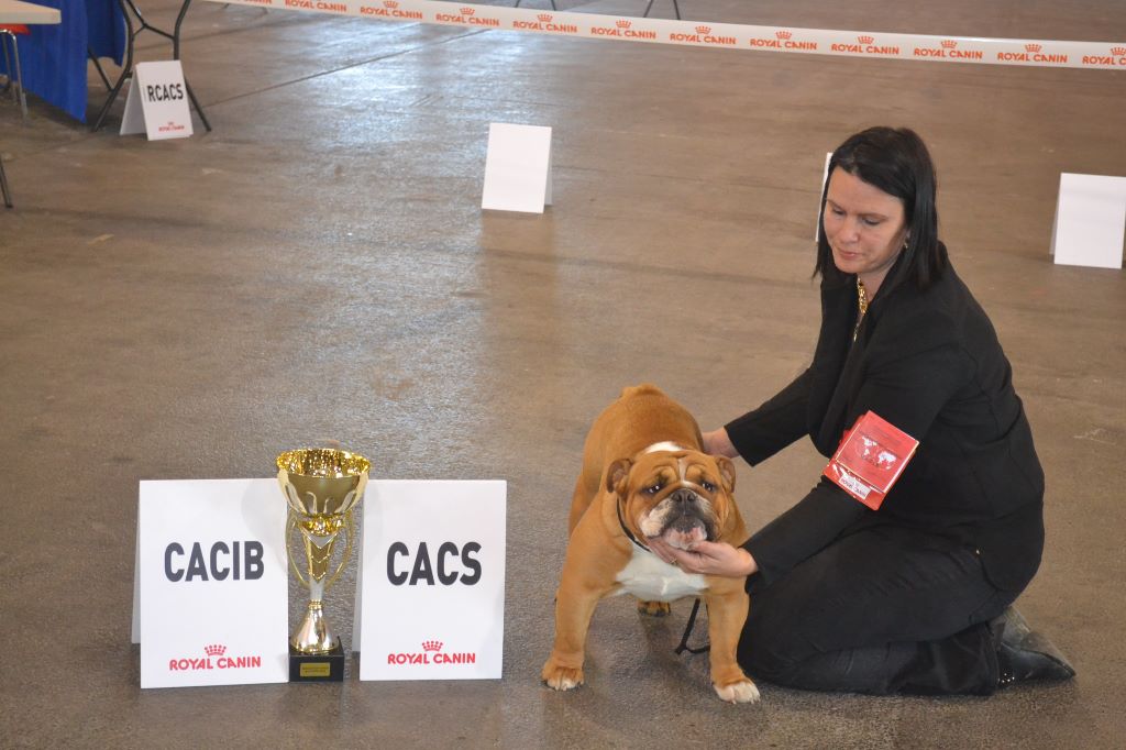 Precious Beauty's - CACIB / CACS/ BOS