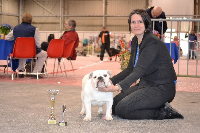 Precious Beauty's - Lagoon Pearl 3eme Meilleur Puppy de l'expo de Périgueux.