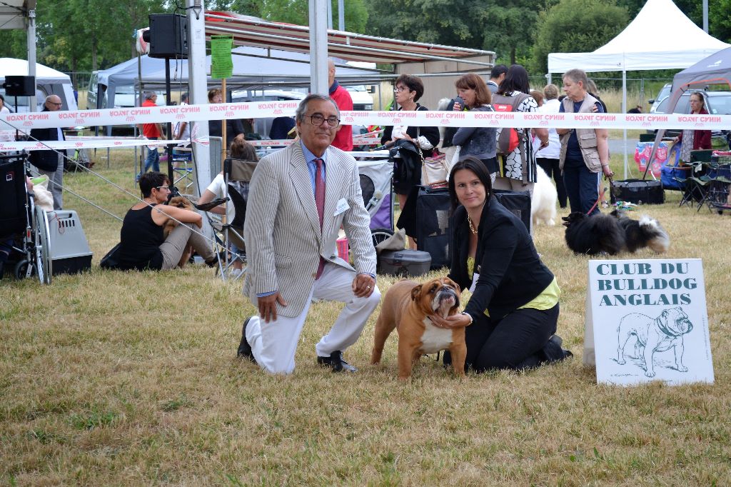 Precious Beauty's - 1er Ex CACS CACIB BOS