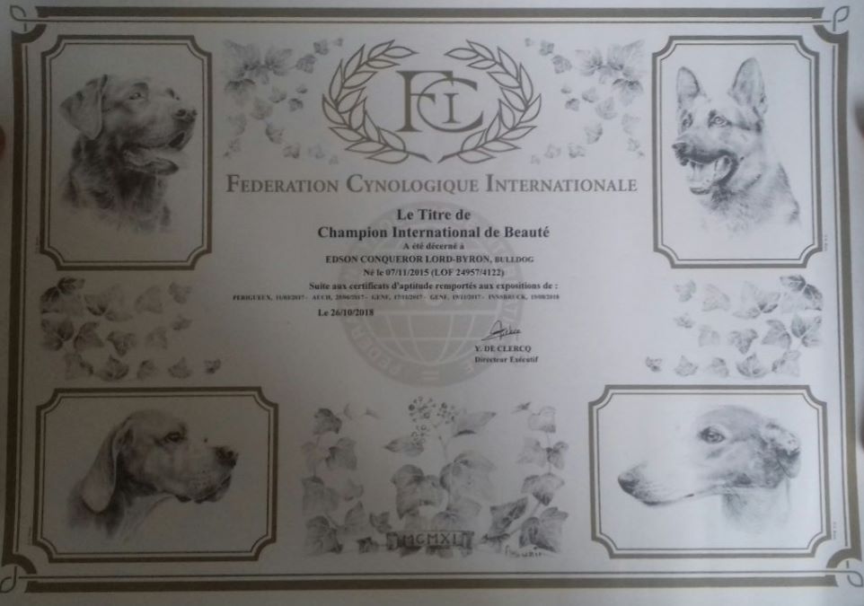 Precious Beauty's - Titre de Champion International homologué
