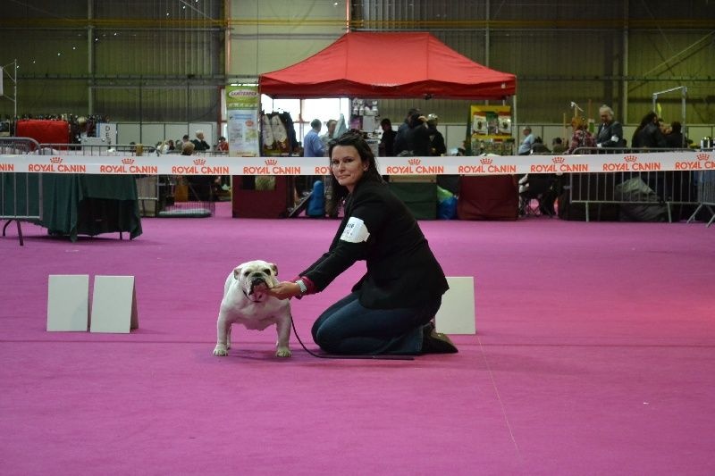 Expo canine