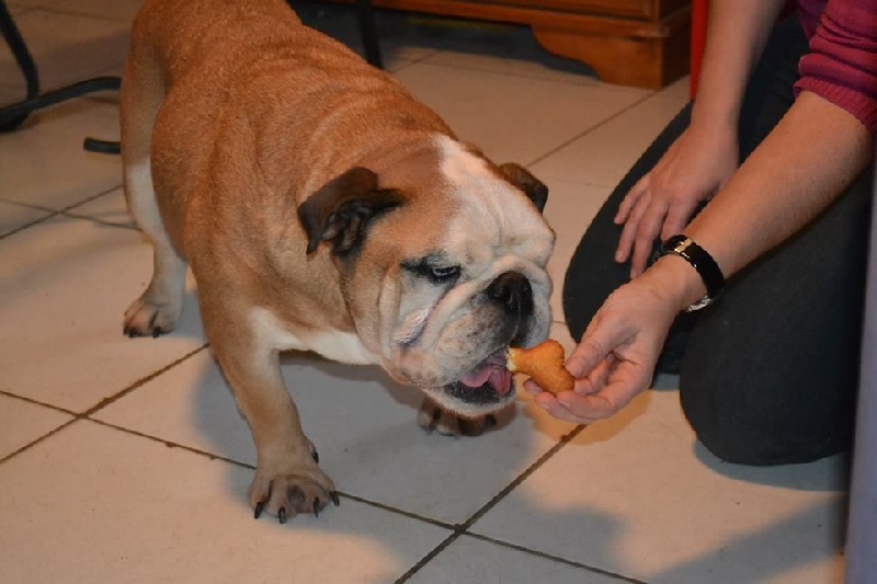 Gourmand