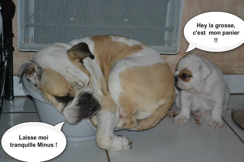 Humour!